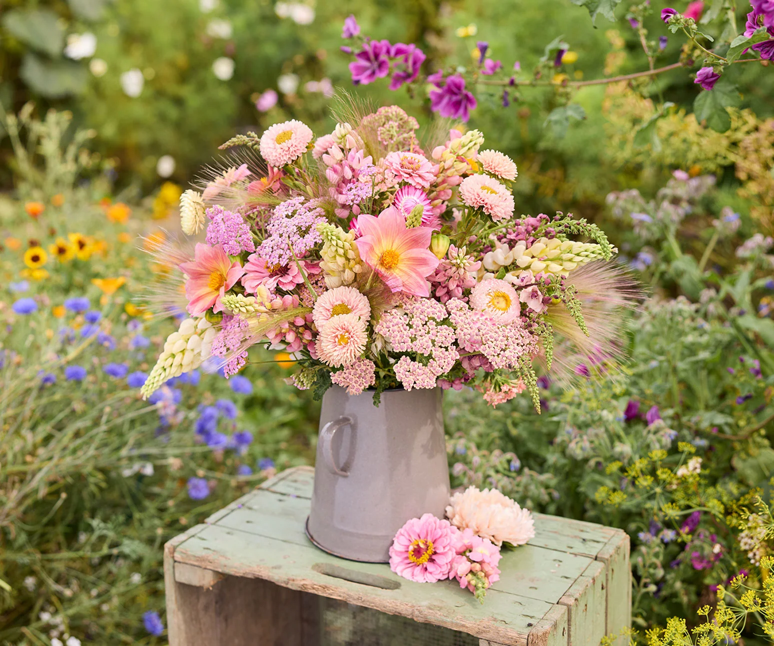 Cultivate Your Dream Garden Today